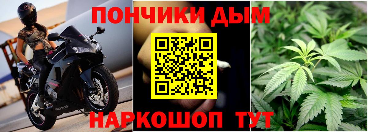 Каннабис Bruce Banner  Канабис семена  Россошь  Канабис OG Kush  Бошки марихуана план  Вход с VPN 